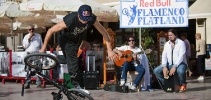 2011, Malaga (Spain)