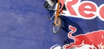 2007, Cob, Red Bull